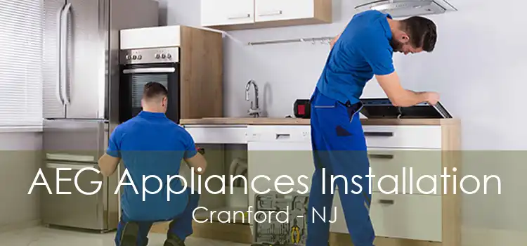 AEG Appliances Installation Cranford - NJ