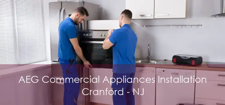 AEG Commercial Appliances Installation Cranford - NJ