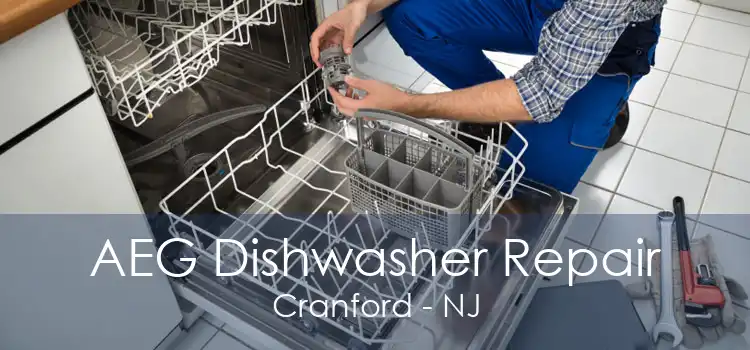 AEG Dishwasher Repair Cranford - NJ