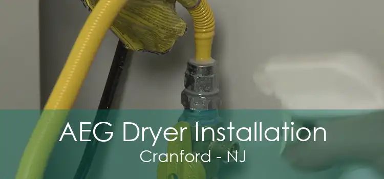 AEG Dryer Installation Cranford - NJ