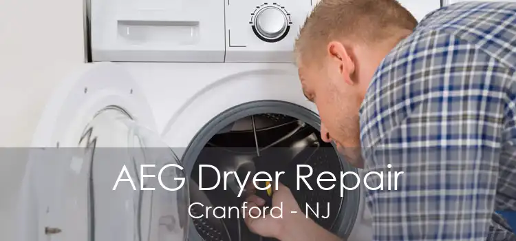 AEG Dryer Repair Cranford - NJ