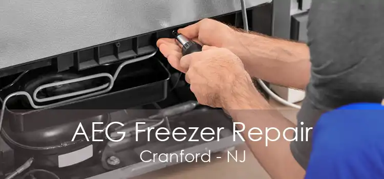 AEG Freezer Repair Cranford - NJ