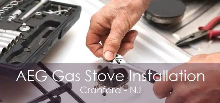 AEG Gas Stove Installation Cranford - NJ
