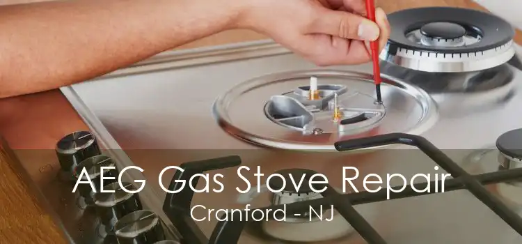 AEG Gas Stove Repair Cranford - NJ