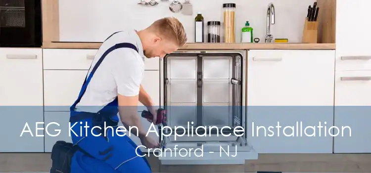 AEG Kitchen Appliance Installation Cranford - NJ