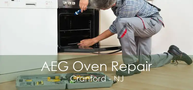 AEG Oven Repair Cranford - NJ