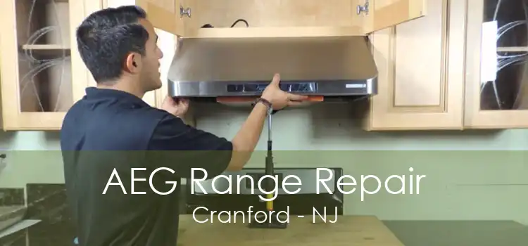 AEG Range Repair Cranford - NJ