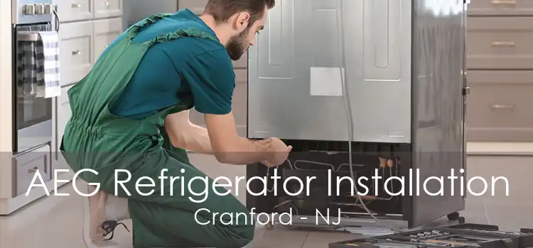 AEG Refrigerator Installation Cranford - NJ