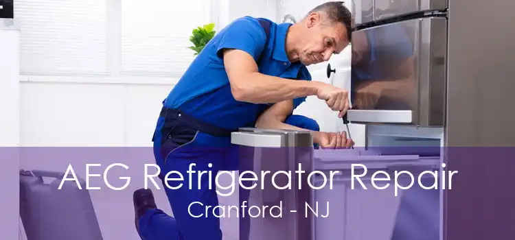 AEG Refrigerator Repair Cranford - NJ