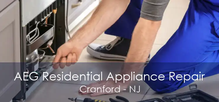 AEG Residential Appliance Repair Cranford - NJ