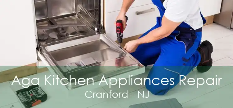 Aga Kitchen Appliances Repair Cranford - NJ