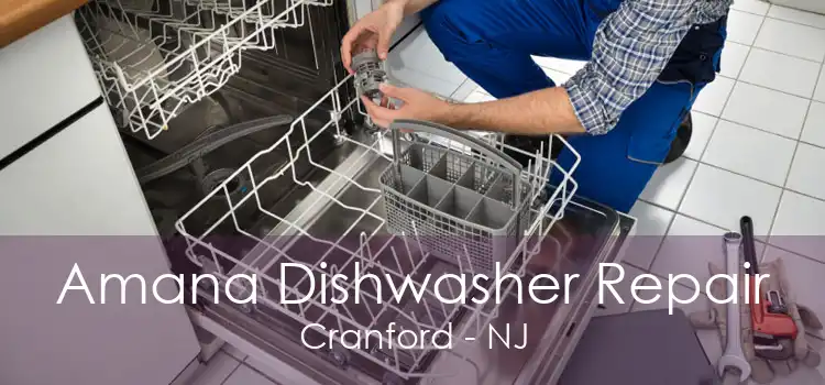 Amana Dishwasher Repair Cranford - NJ