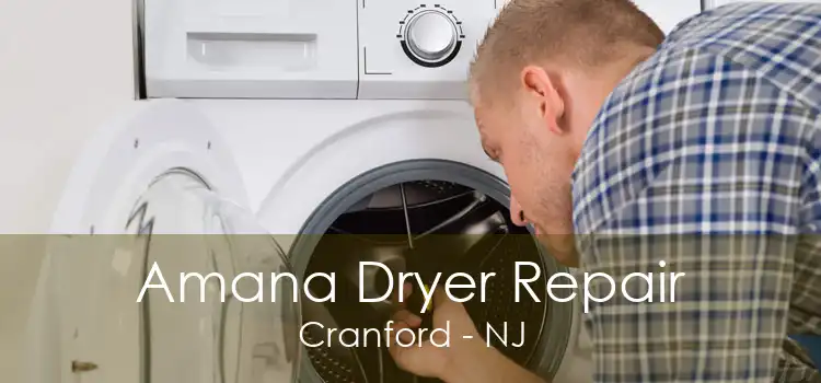 Amana Dryer Repair Cranford - NJ