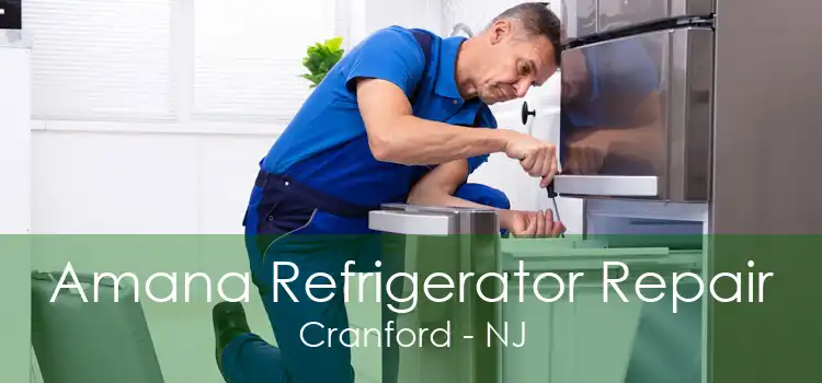 Amana Refrigerator Repair Cranford - NJ