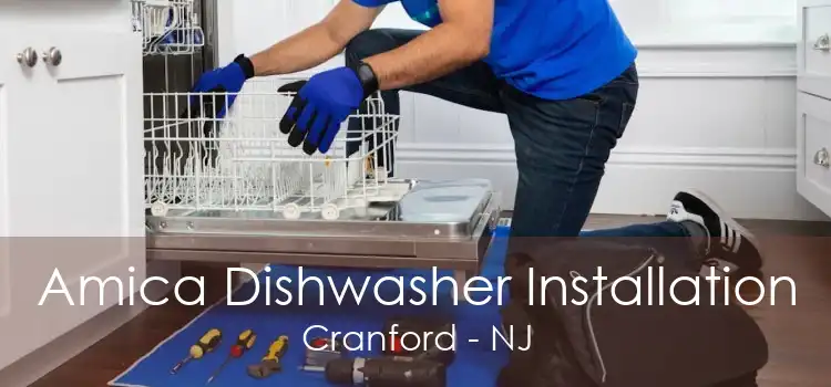 Amica Dishwasher Installation Cranford - NJ