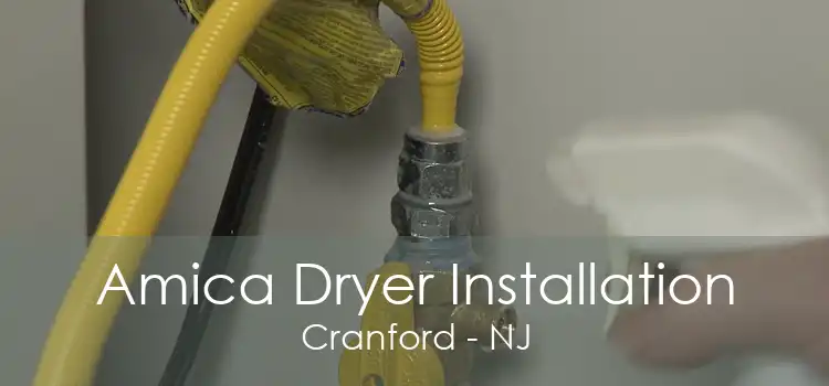 Amica Dryer Installation Cranford - NJ