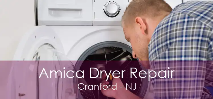 Amica Dryer Repair Cranford - NJ