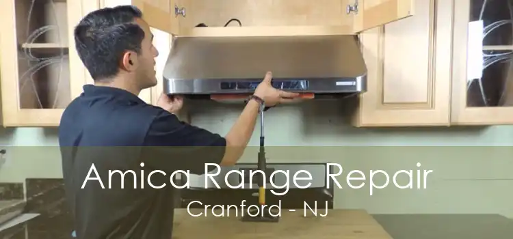 Amica Range Repair Cranford - NJ