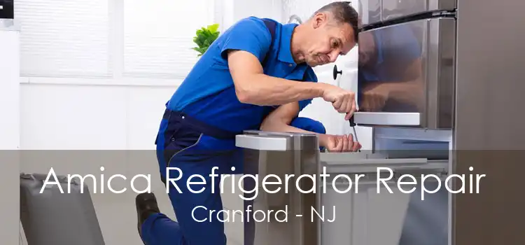 Amica Refrigerator Repair Cranford - NJ