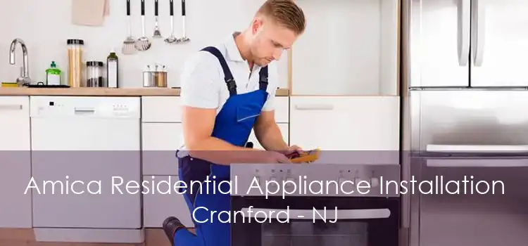 Amica Residential Appliance Installation Cranford - NJ