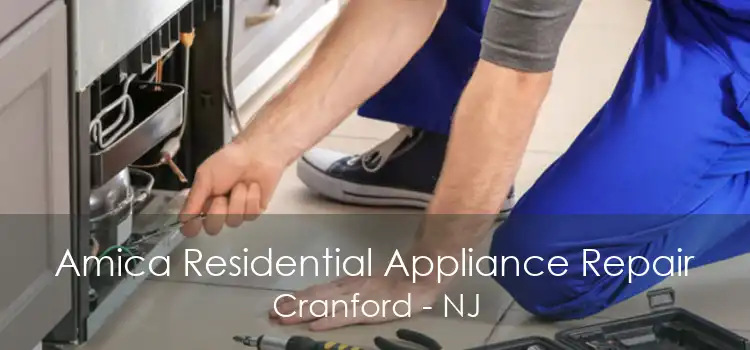Amica Residential Appliance Repair Cranford - NJ