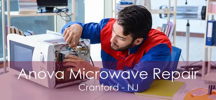 Anova Microwave Repair Cranford - NJ