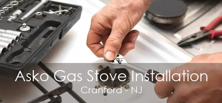 Asko Gas Stove Installation Cranford - NJ