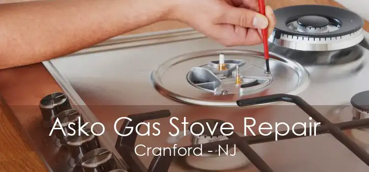 Asko Gas Stove Repair Cranford - NJ