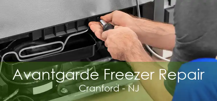 Avantgarde Freezer Repair Cranford - NJ