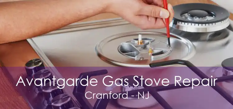 Avantgarde Gas Stove Repair Cranford - NJ