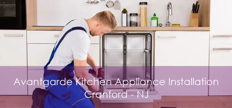 Avantgarde Kitchen Appliance Installation Cranford - NJ