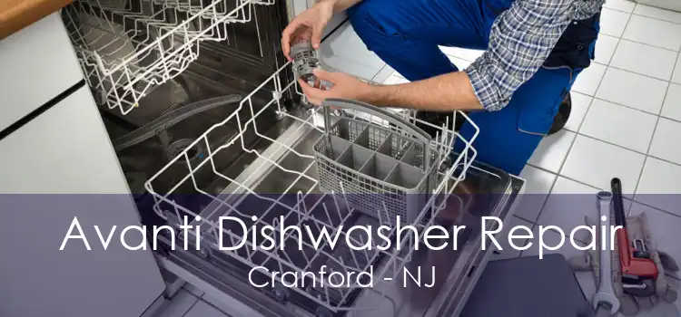 Avanti Dishwasher Repair Cranford - NJ
