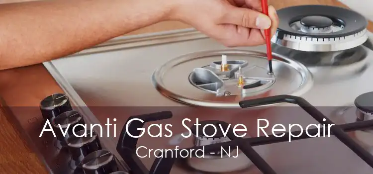 Avanti Gas Stove Repair Cranford - NJ