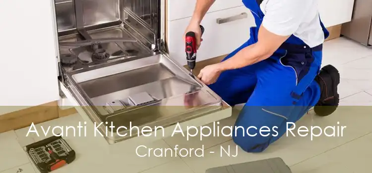 Avanti Kitchen Appliances Repair Cranford - NJ