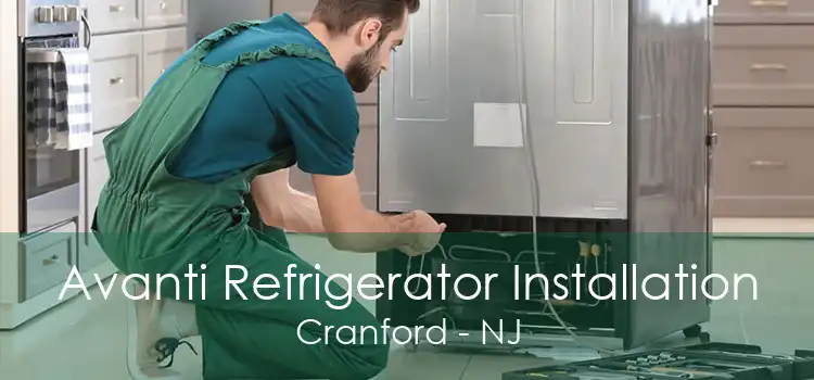 Avanti Refrigerator Installation Cranford - NJ