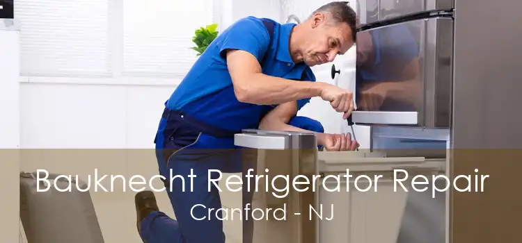 Bauknecht Refrigerator Repair Cranford - NJ