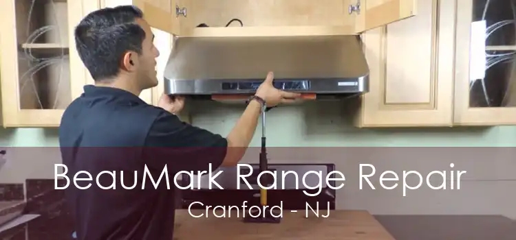 BeauMark Range Repair Cranford - NJ