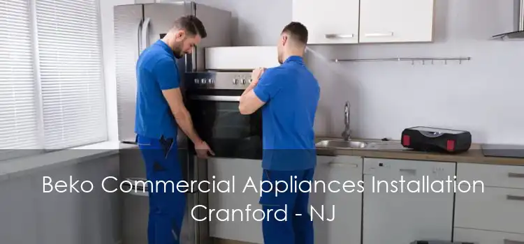 Beko Commercial Appliances Installation Cranford - NJ