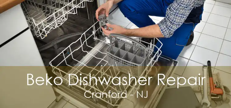 Beko Dishwasher Repair Cranford - NJ