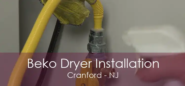 Beko Dryer Installation Cranford - NJ