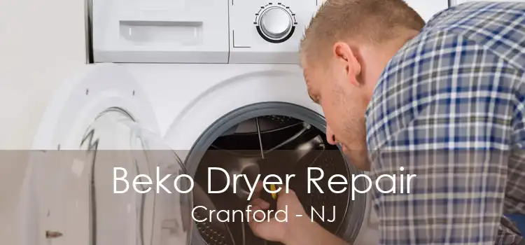 Beko Dryer Repair Cranford - NJ