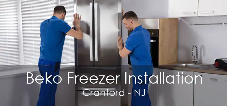 Beko Freezer Installation Cranford - NJ