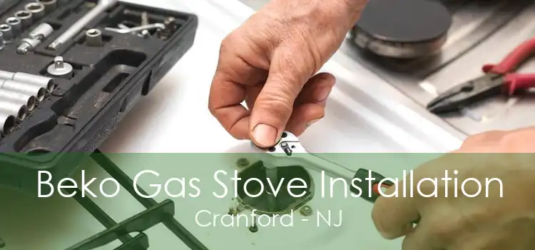 Beko Gas Stove Installation Cranford - NJ