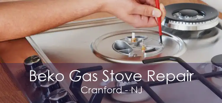 Beko Gas Stove Repair Cranford - NJ