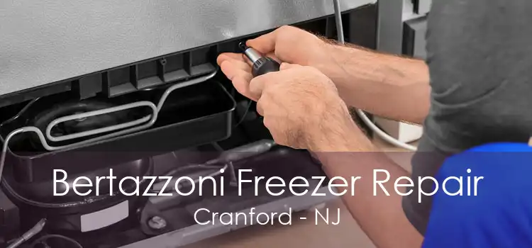 Bertazzoni Freezer Repair Cranford - NJ