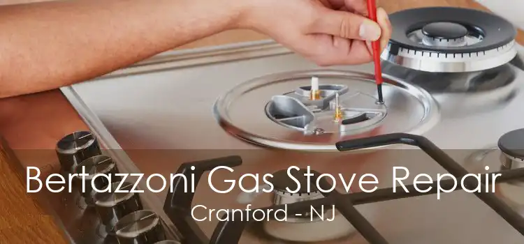 Bertazzoni Gas Stove Repair Cranford - NJ