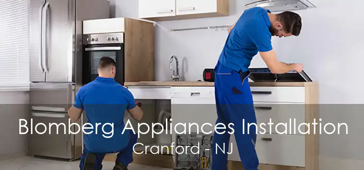 Blomberg Appliances Installation Cranford - NJ