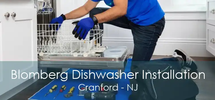 Blomberg Dishwasher Installation Cranford - NJ