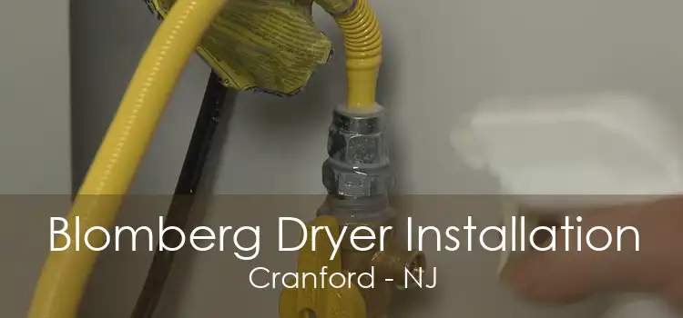 Blomberg Dryer Installation Cranford - NJ
