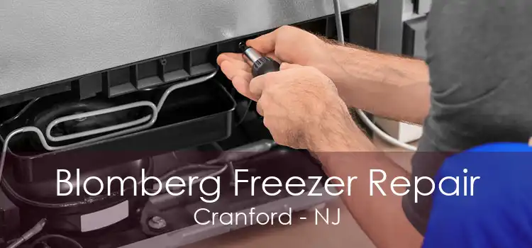 Blomberg Freezer Repair Cranford - NJ